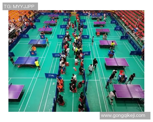 南京乒乓球队的力量与精神探讨聚焦乒乓球的未来发展与挑战