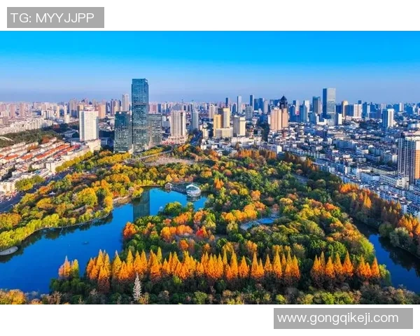 南京篮球队转型之路的挑战与机遇全景分析精英赛特别报道